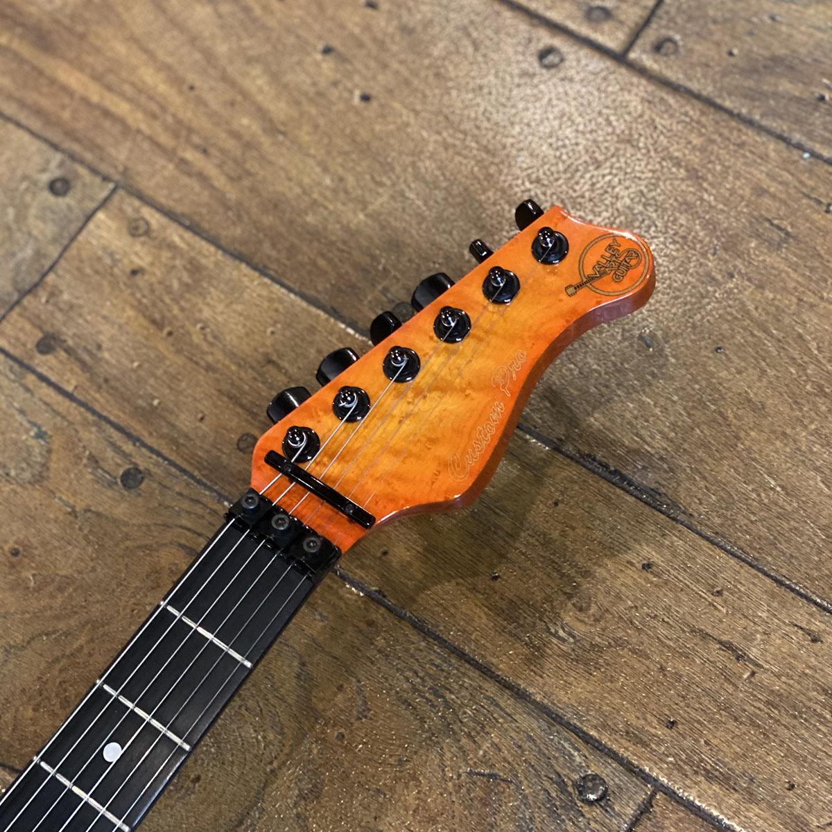 M Series Custom Pro Valley Arts エレクトリックギター ストラト M Series Custom Pro Valley Arts エレクトリックギター ストラト