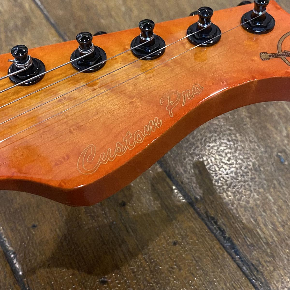 M Series Custom Pro Valley Arts エレクトリックギター ストラト