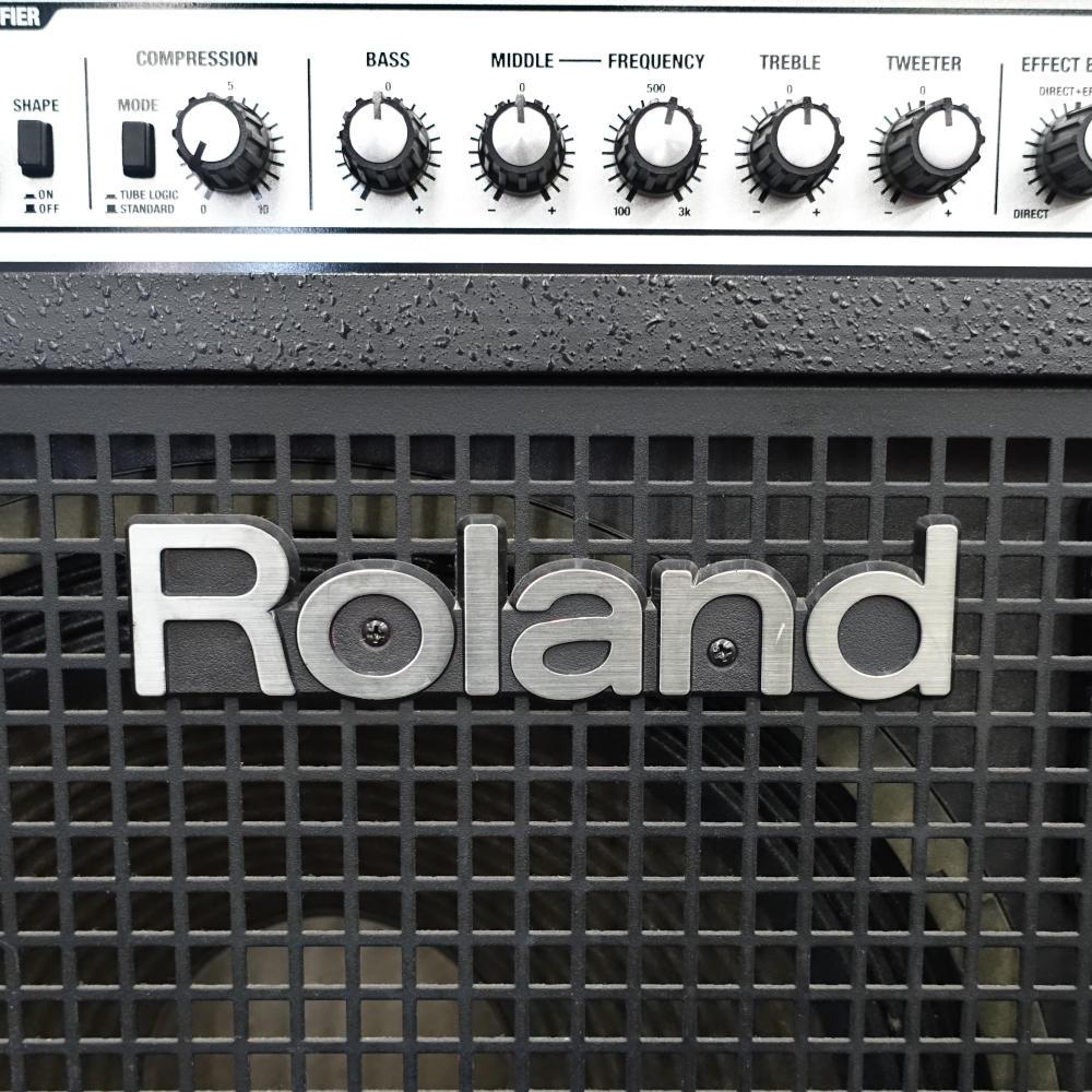 Roland D-Bass 115 <ローランド>｜平野楽器 ロッキン オンラインストア