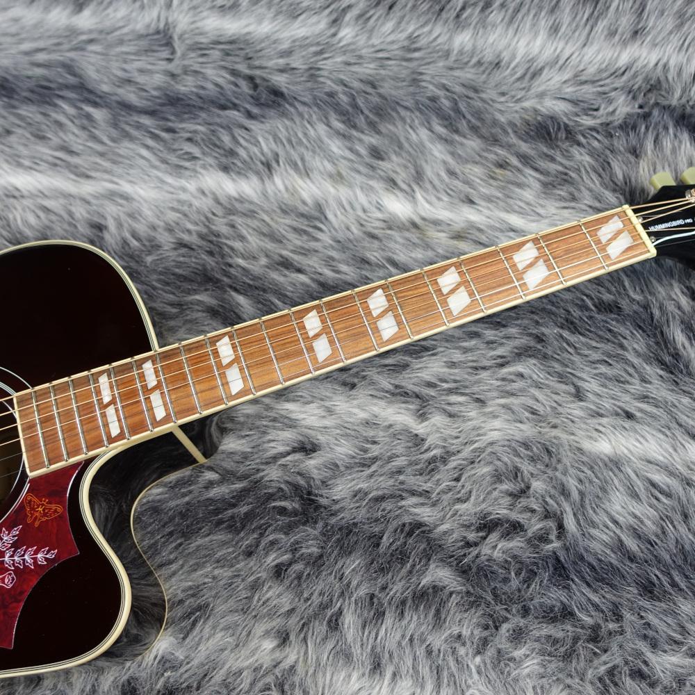 Epiphone Limited Edition Hummingbird Performer Pro Tobacco