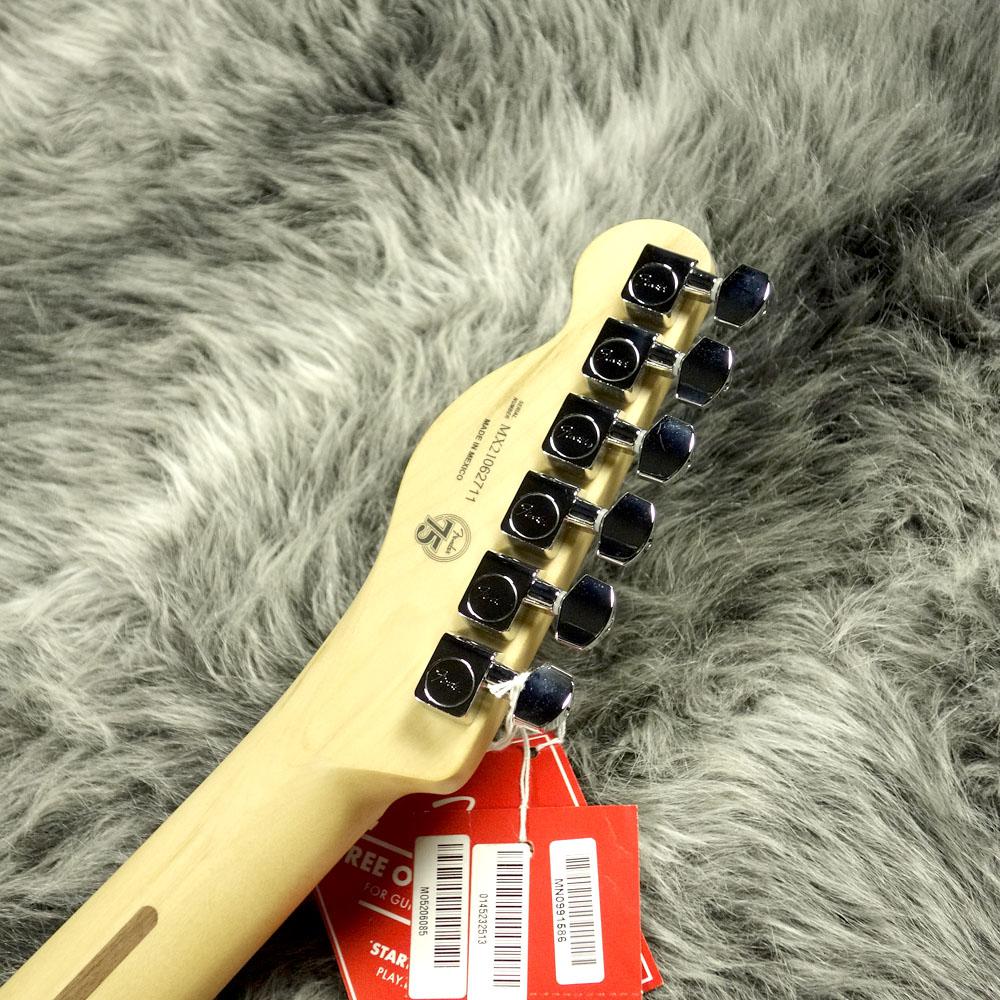 Fender Mexico Player Telecaster HH Tidepool｜平野楽器