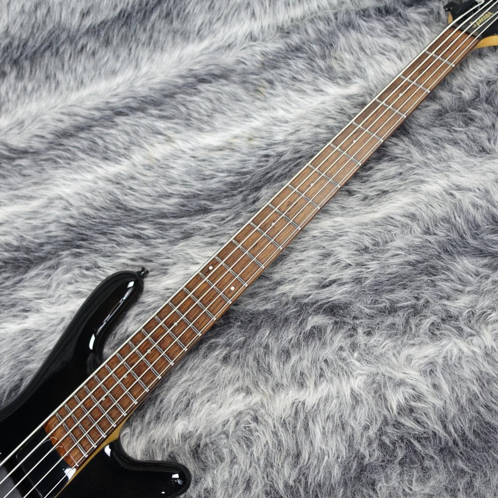 Spector Euro Rebop5 Black Stain Gloss <スペクター>｜平野楽器 ロッキン オンラインストア