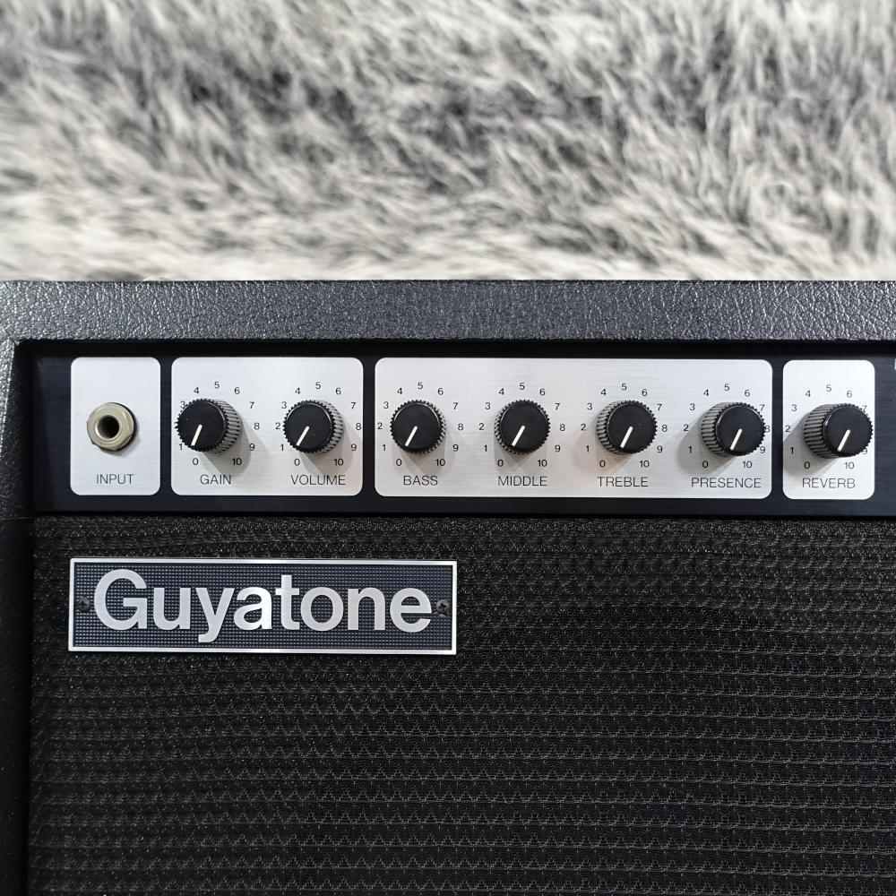 Guyatone FLIP300FC 30W <グヤトーン>｜平野楽器 ロッキン オンライン