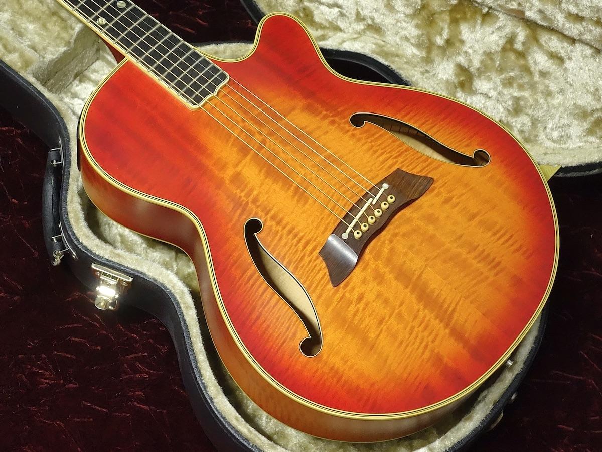 Takamine NPT-115-6 【長渕剛モデル】 <タカミネ>｜平野楽器 ロッキン オンラインストア