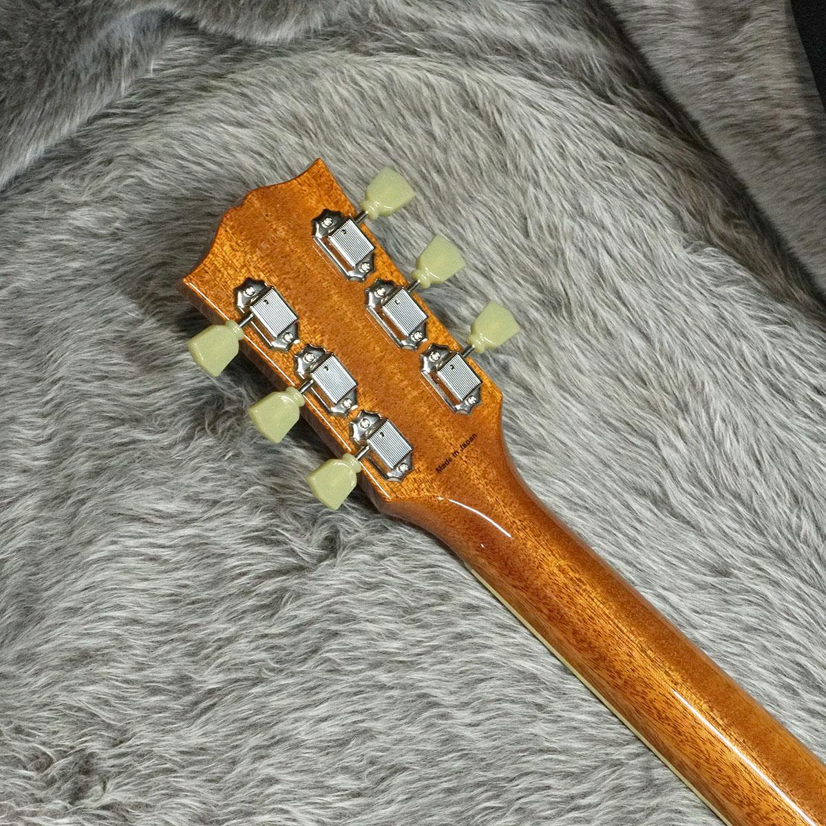 Tokai LS156S-WA GT <トーカイ>｜平野楽器 ロッキン オンラインストア