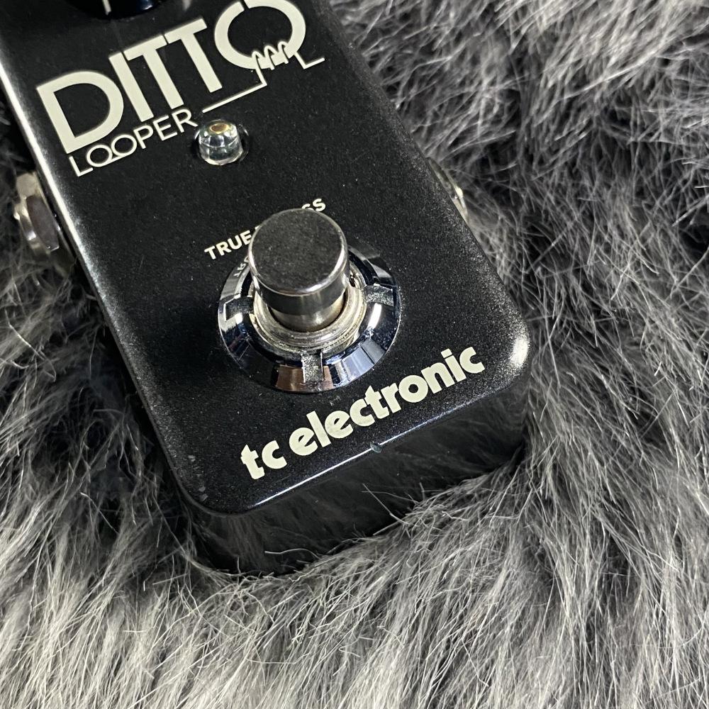 t.c. electronic DITTO LOOPER <ティーシーエレクトロニック>｜平野 