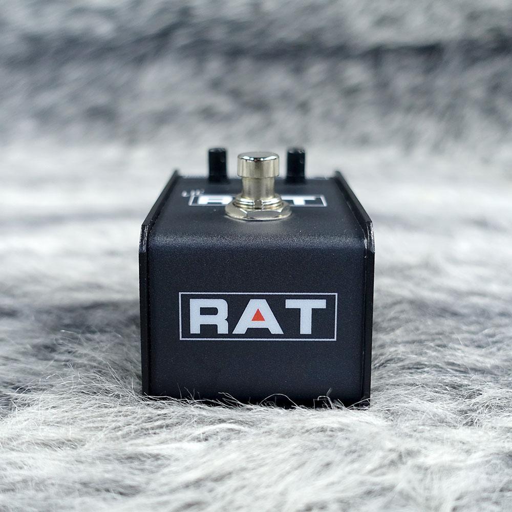 Pro Co LIL'RAT <プロコ>｜平野楽器 ロッキン オンラインストア