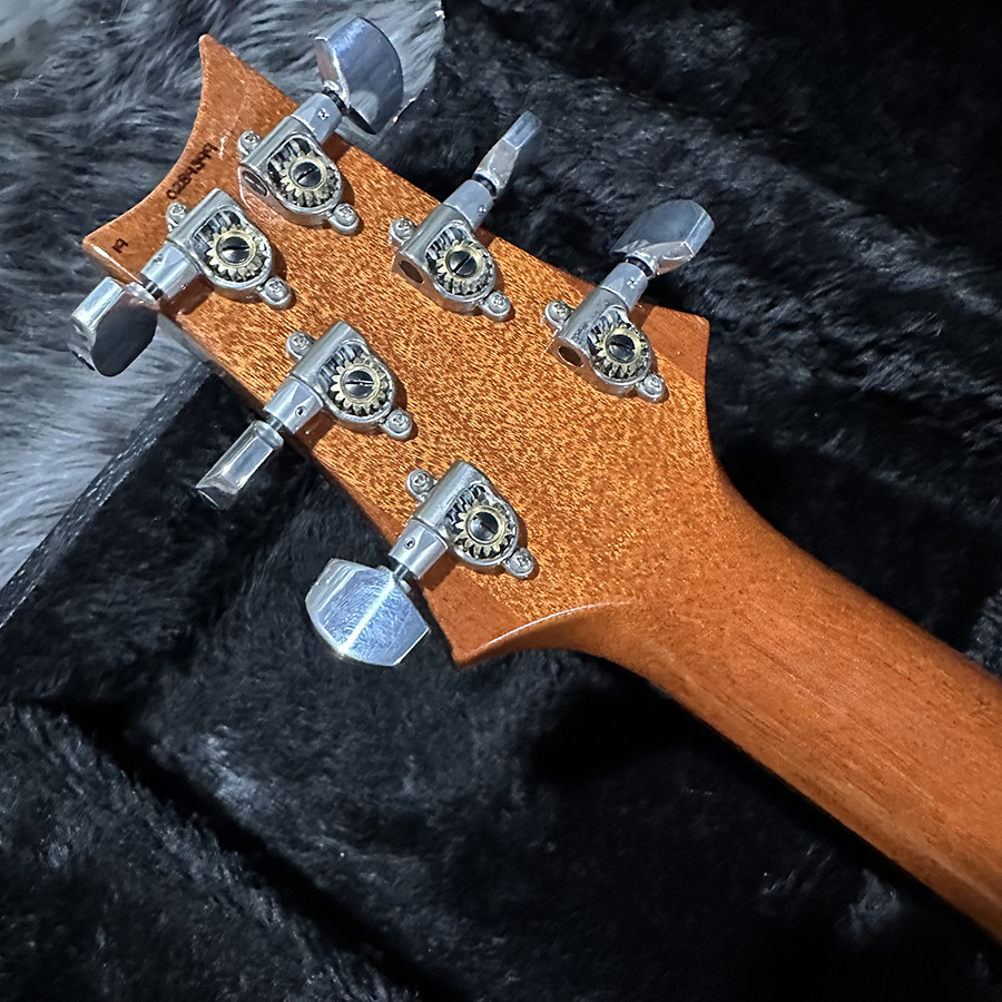 Paul Reed Smith Custom 24 Blue Matteo 2019 <ポールリード