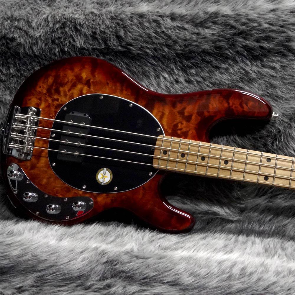 Sterling by MUSIC MAN Ray34QM ILB <スターリングバイミュジックマン
