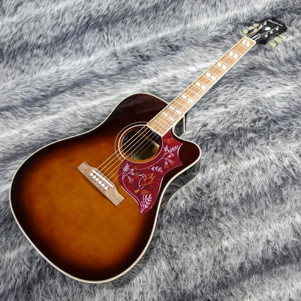 Epiphone Limited Edition Hummingbird Performer Pro Tobacco