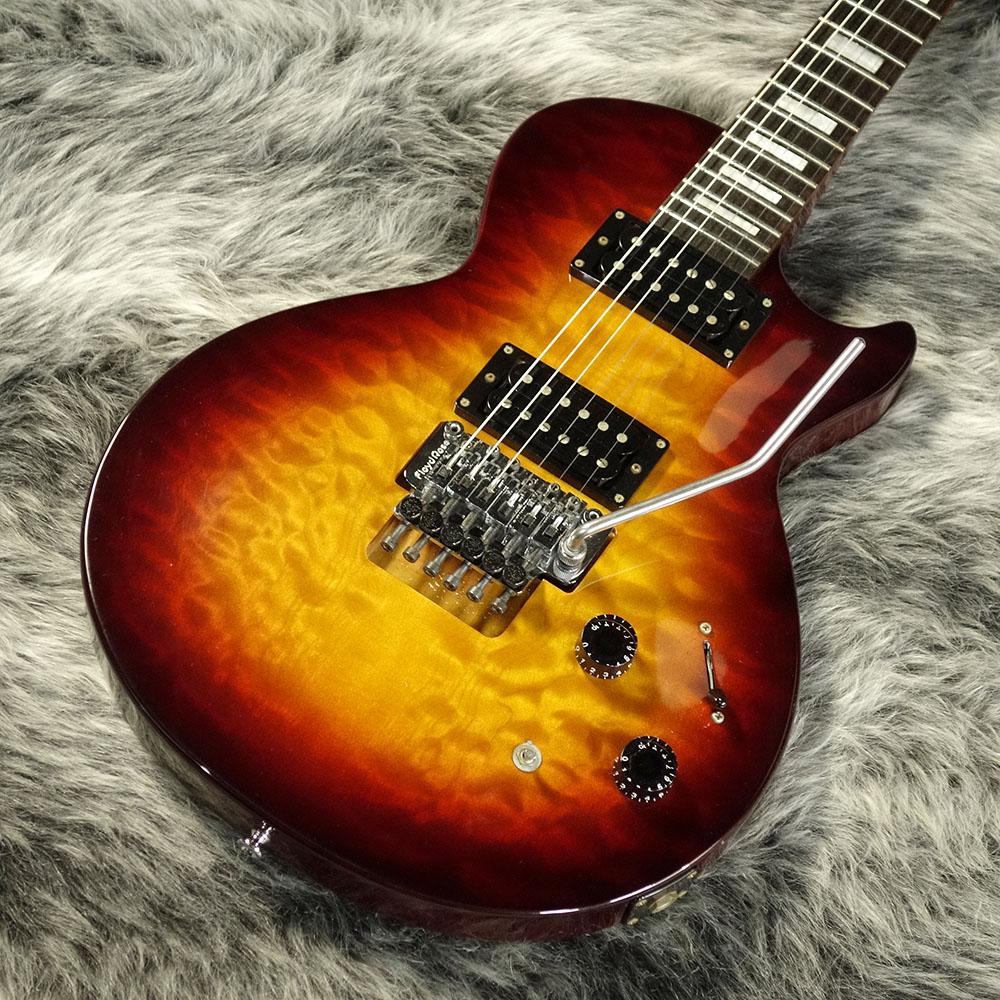 Edwards E-LP QT Floyd Rose <エドワーズ>｜平野楽器 ロッキン