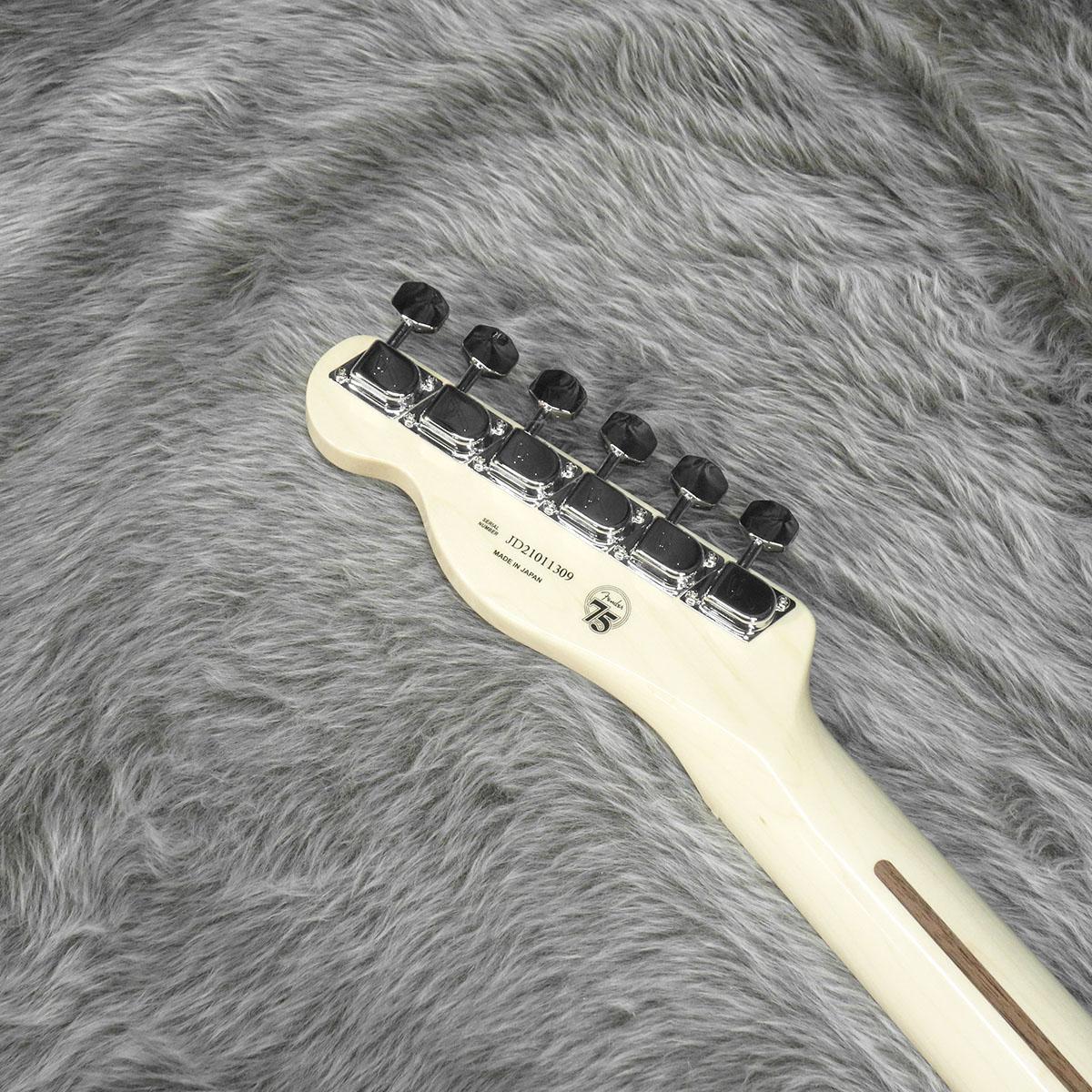 Fender Made in Japan Traditional 70s Telecaster Thinline MN Fender Made in Japan Traditional 70s Telecaster Thinline MN